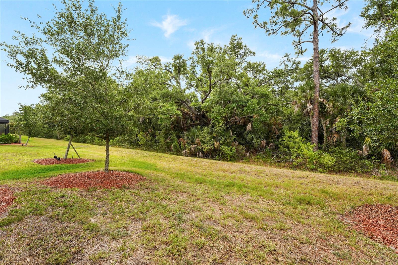 12055 AMICA LOOP, VENICE, FL, 34293