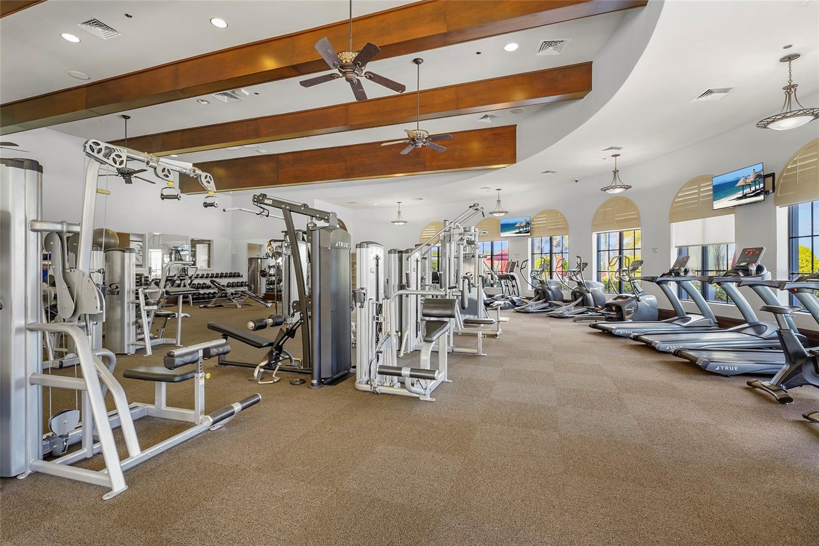 12055 AMICA LOOP, VENICE, FL, 34293