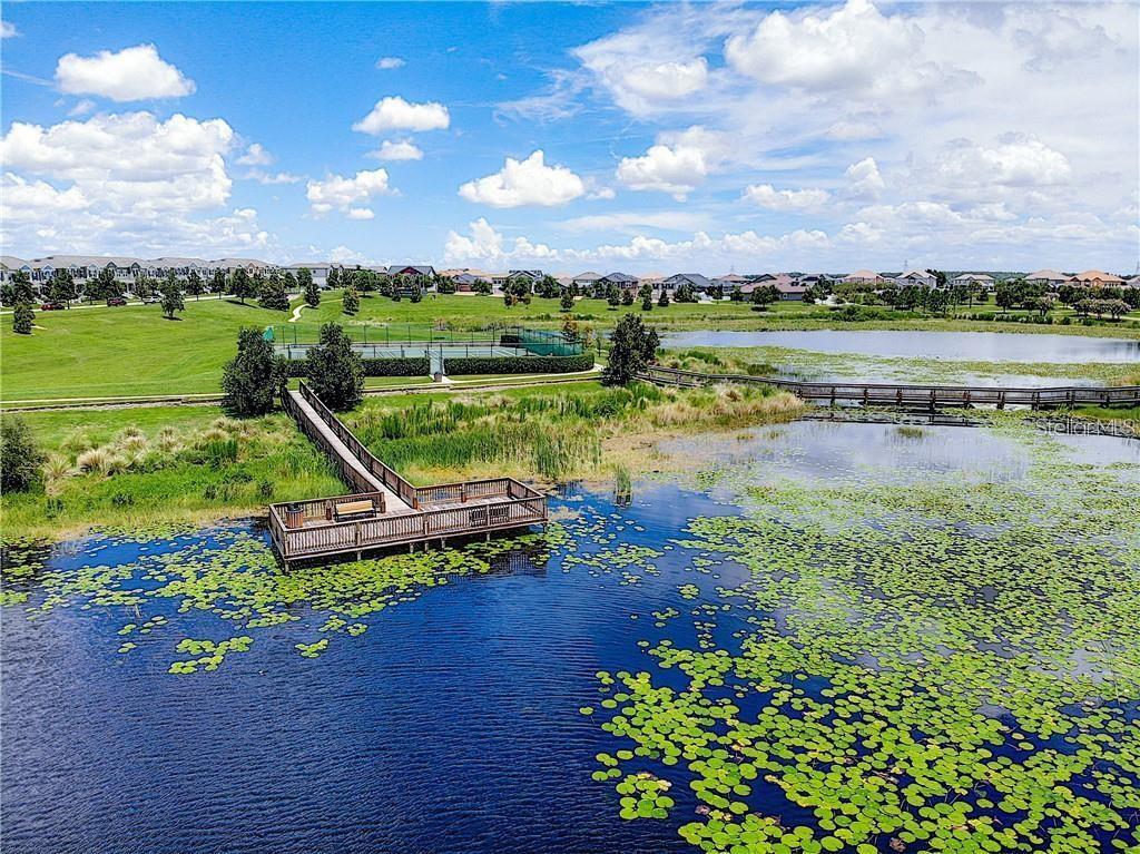 8160 WOOD SAGE DR, WINTER GARDEN, FL, 34787
