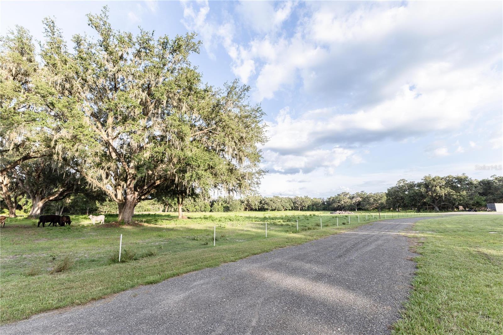 12523 CR 721, WEBSTER, FL, 33597