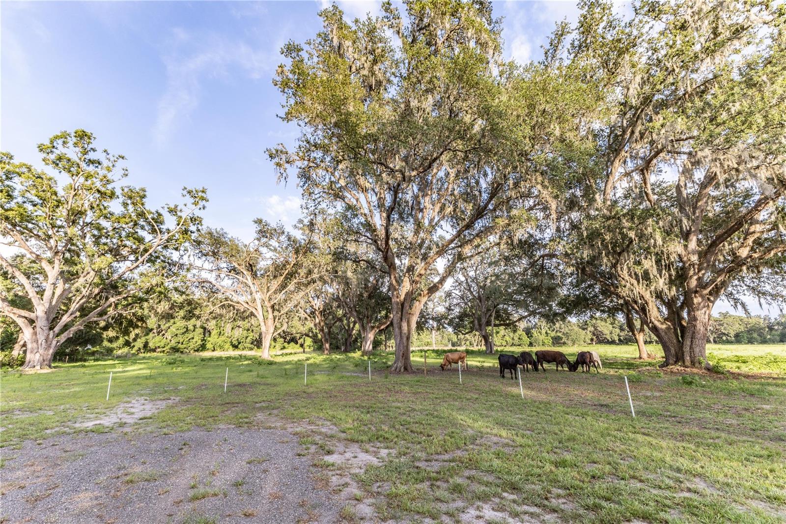 12523 CR 721, WEBSTER, FL, 33597