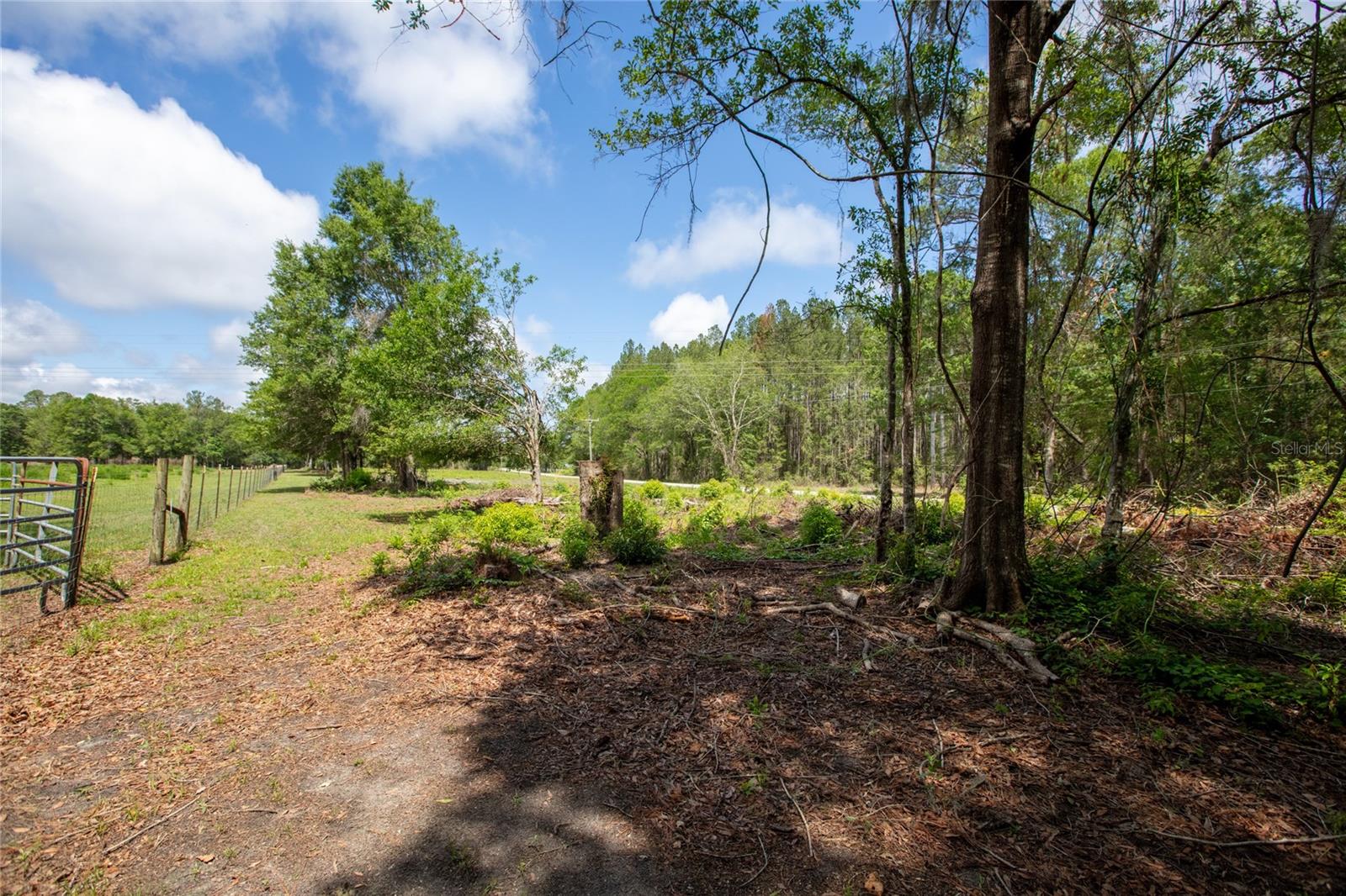 NW 185TH ST, STARKE, FL, 32091