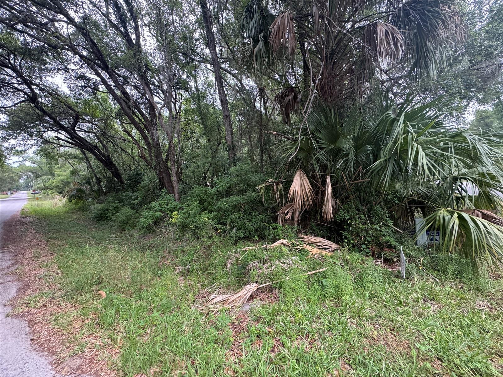 874 N SAVARY AVE, INVERNESS, FL, 34453