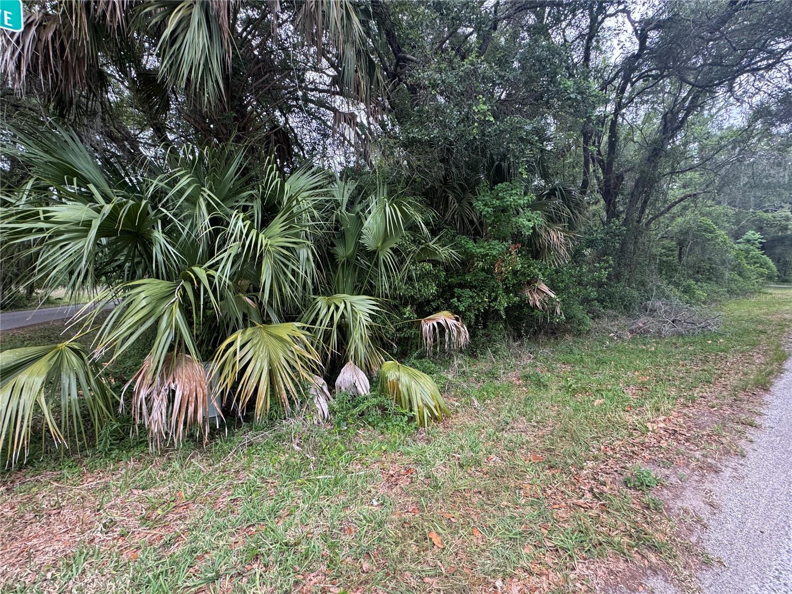 874 N SAVARY AVE, INVERNESS, FL, 34453