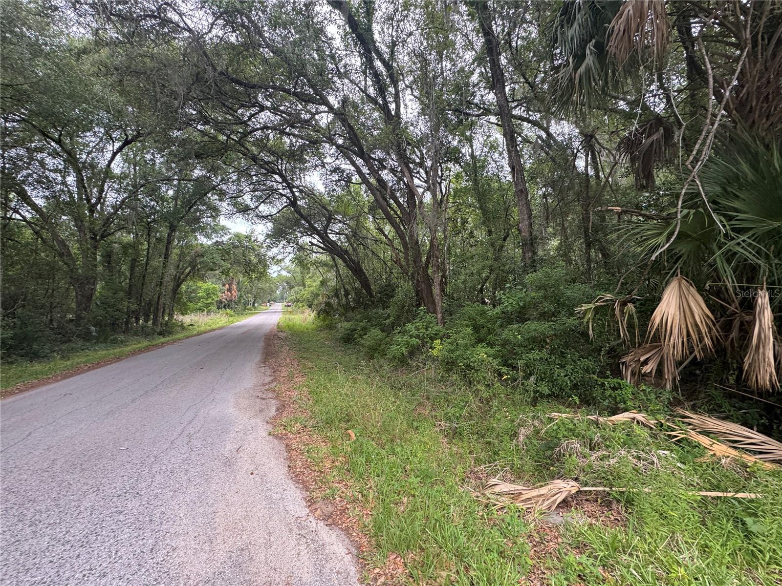 874 N SAVARY AVE, INVERNESS, FL, 34453