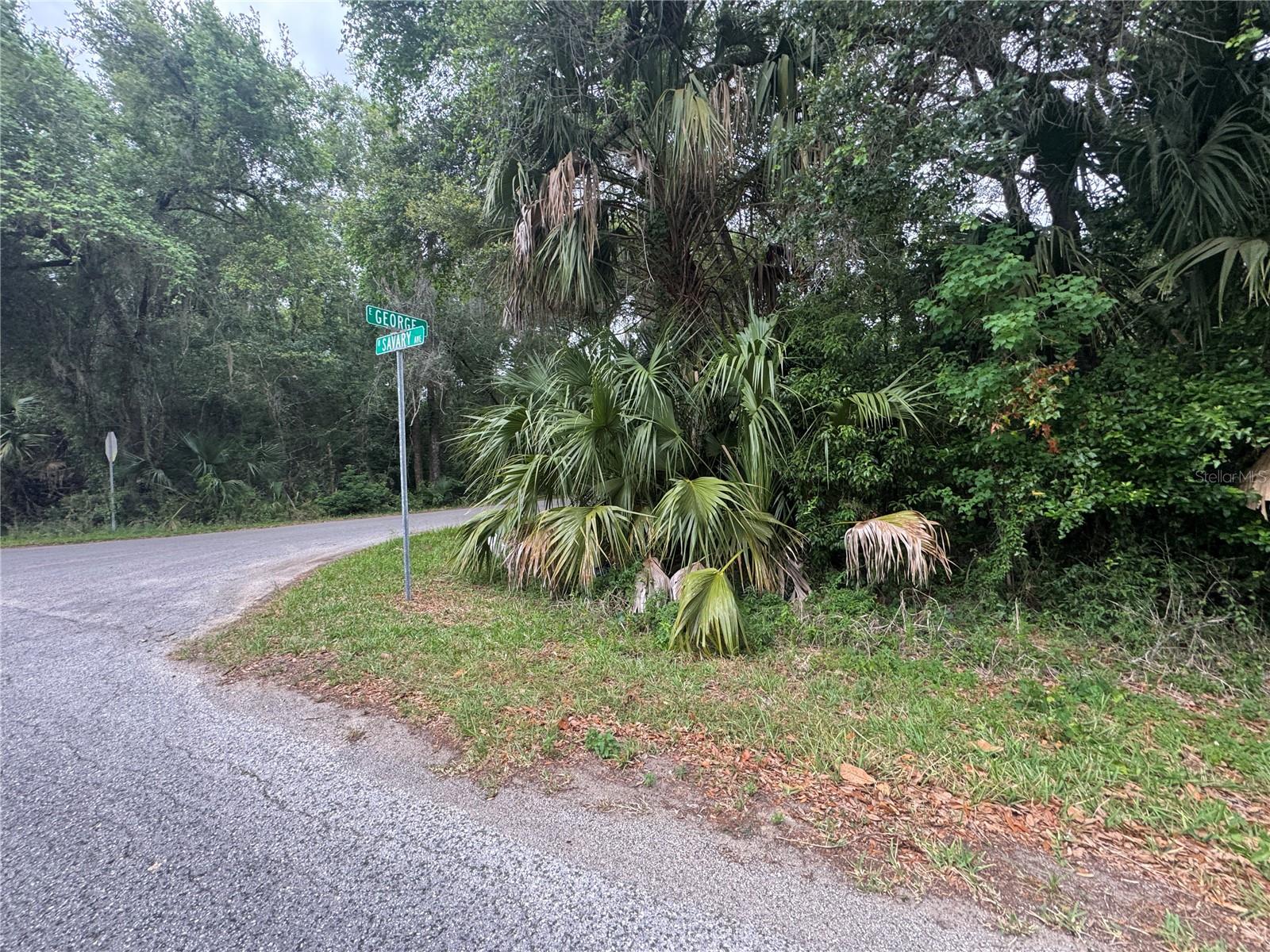 874 N SAVARY AVE, INVERNESS, FL, 34453