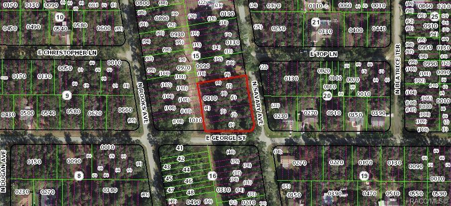 874 N SAVARY AVE, INVERNESS, FL, 34453