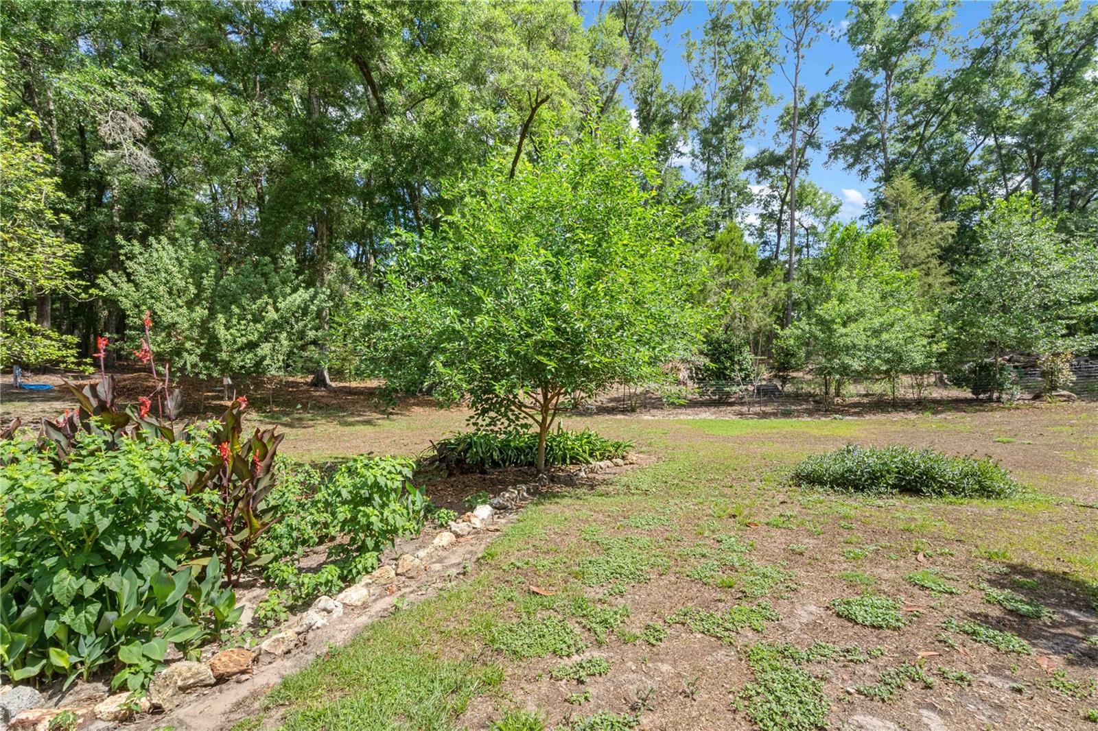4050 NE 172ND CT, WILLISTON, FL, 32696