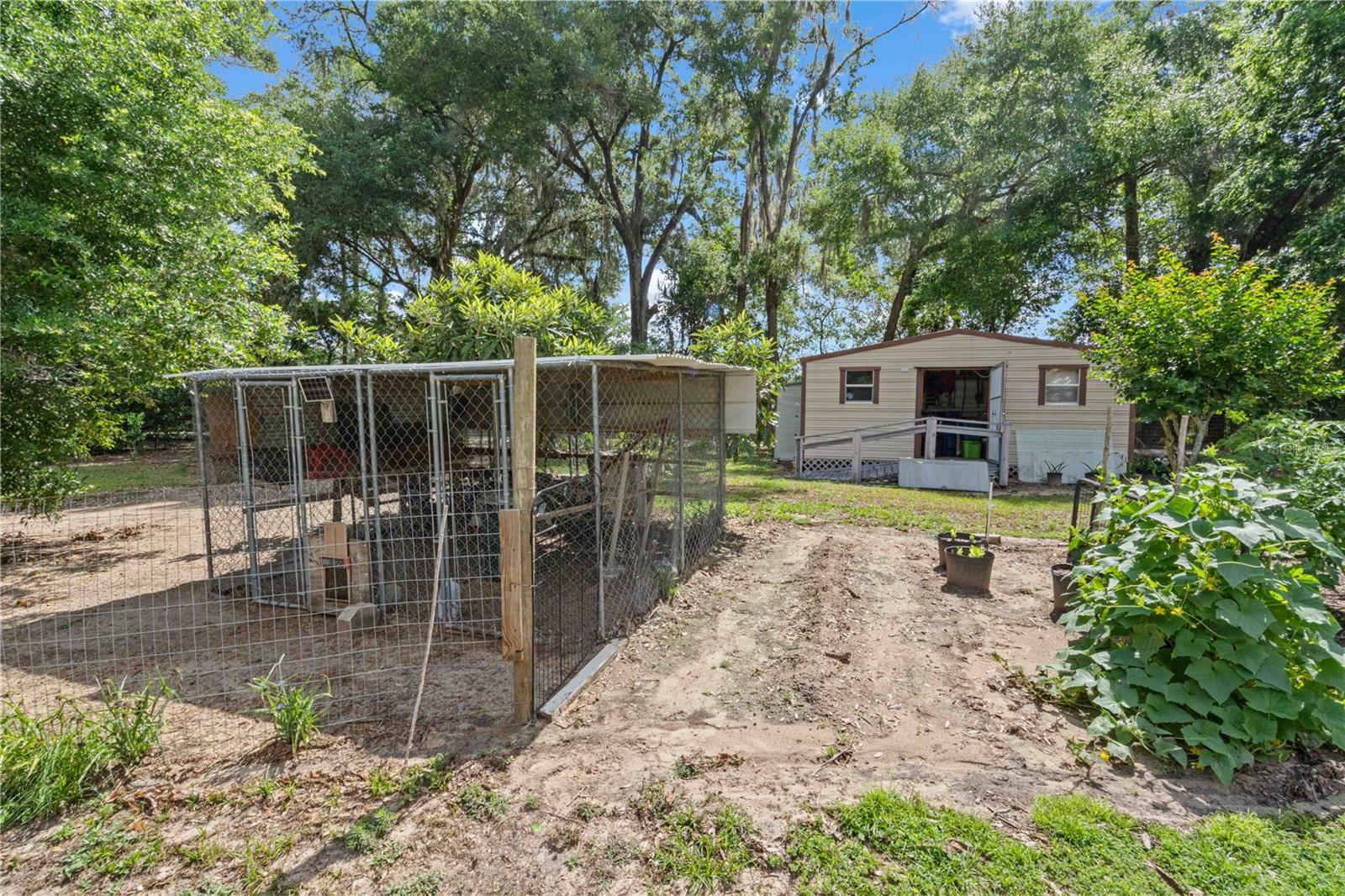 4050 NE 172ND CT, WILLISTON, FL, 32696