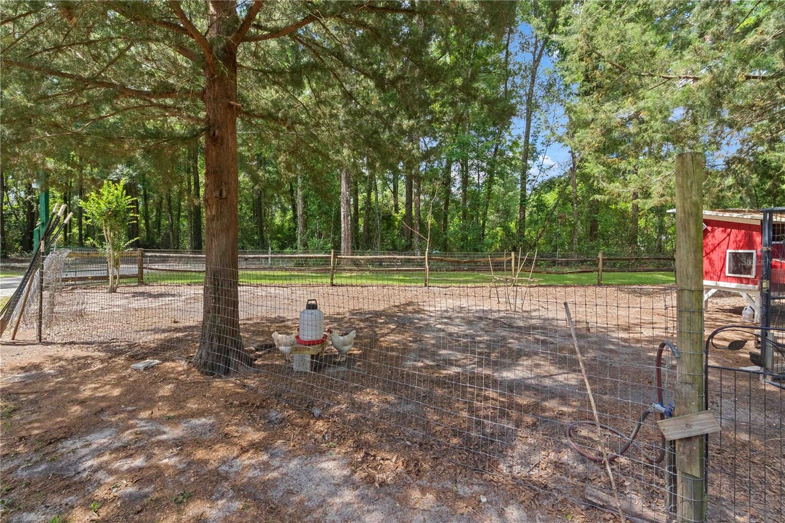 4050 NE 172ND CT, WILLISTON, FL, 32696