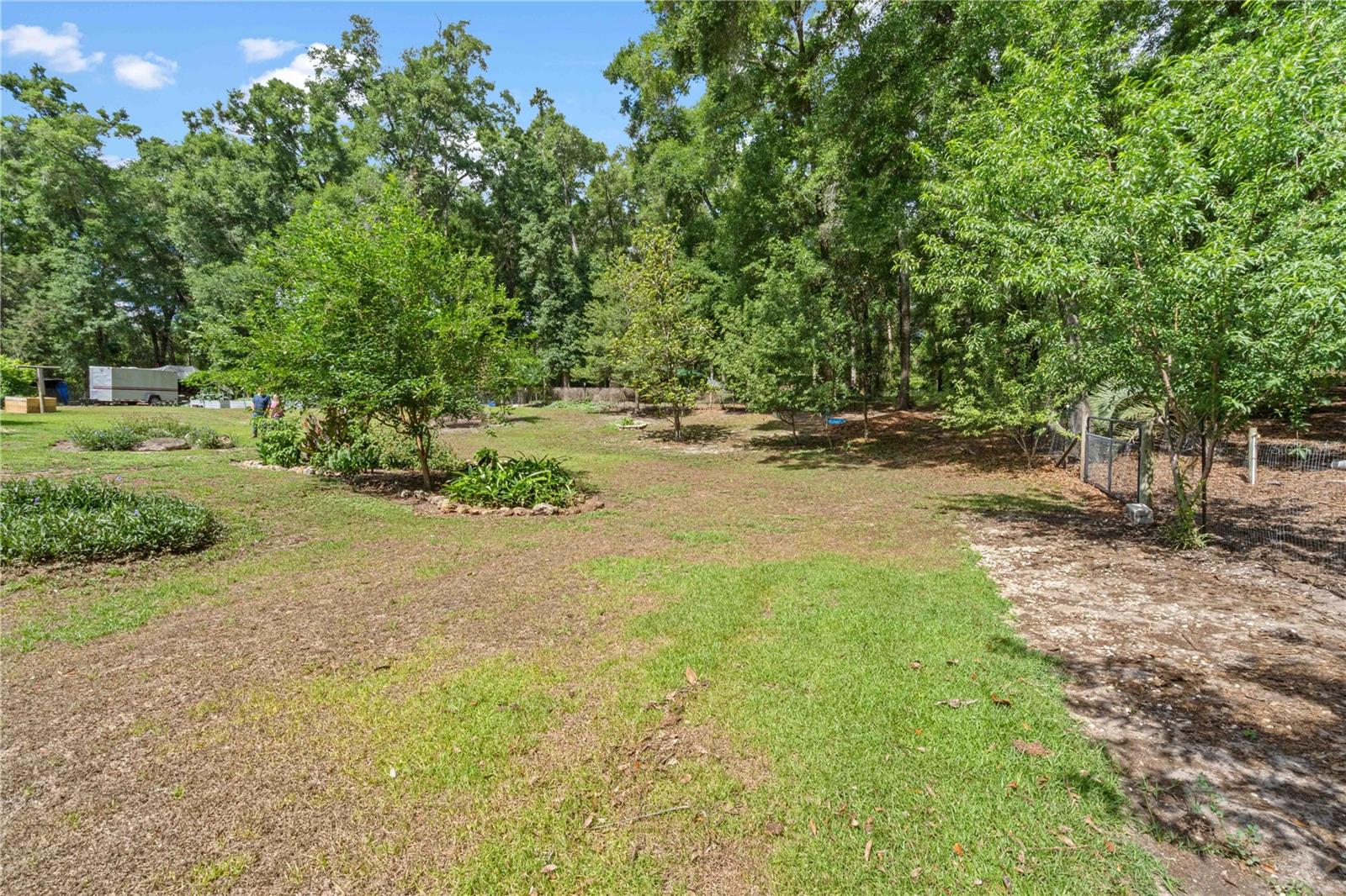 4050 NE 172ND CT, WILLISTON, FL, 32696
