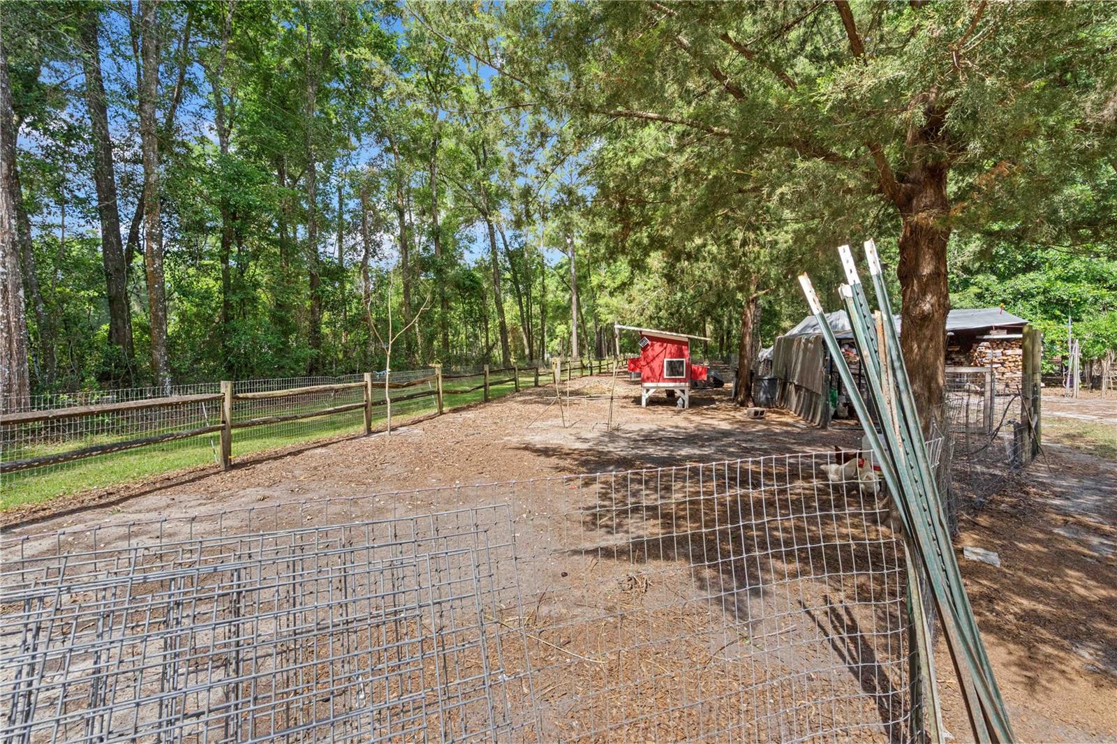 4050 NE 172ND CT, WILLISTON, FL, 32696