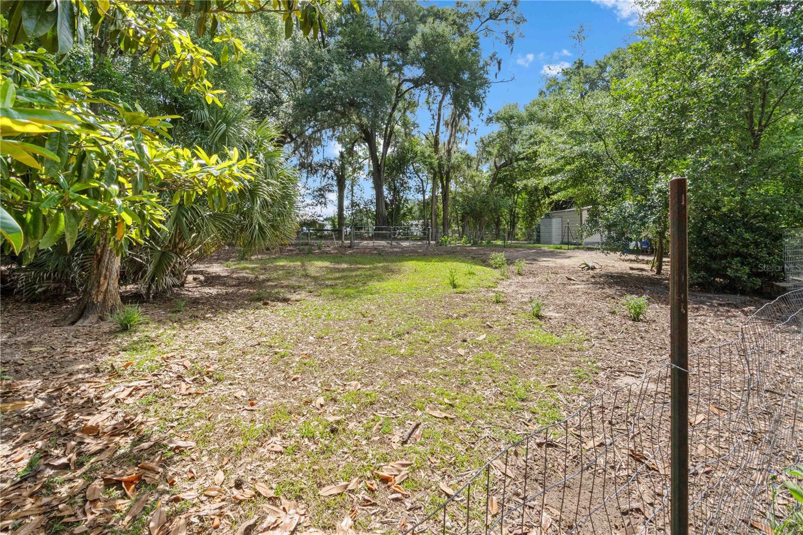 4050 NE 172ND CT, WILLISTON, FL, 32696