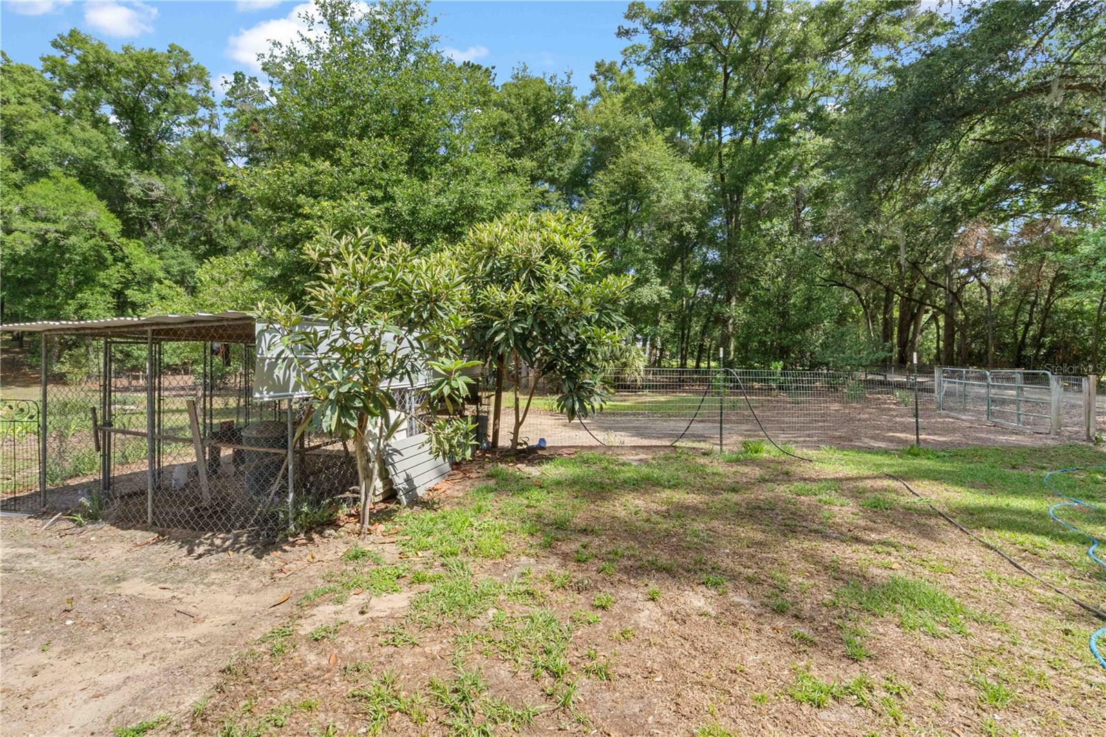 4050 NE 172ND CT, WILLISTON, FL, 32696