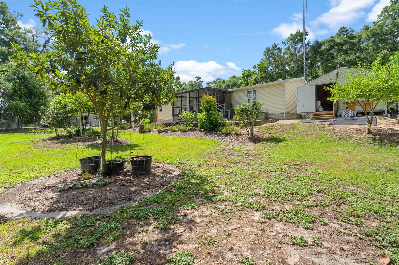 4050 NE 172ND CT, WILLISTON, FL, 32696