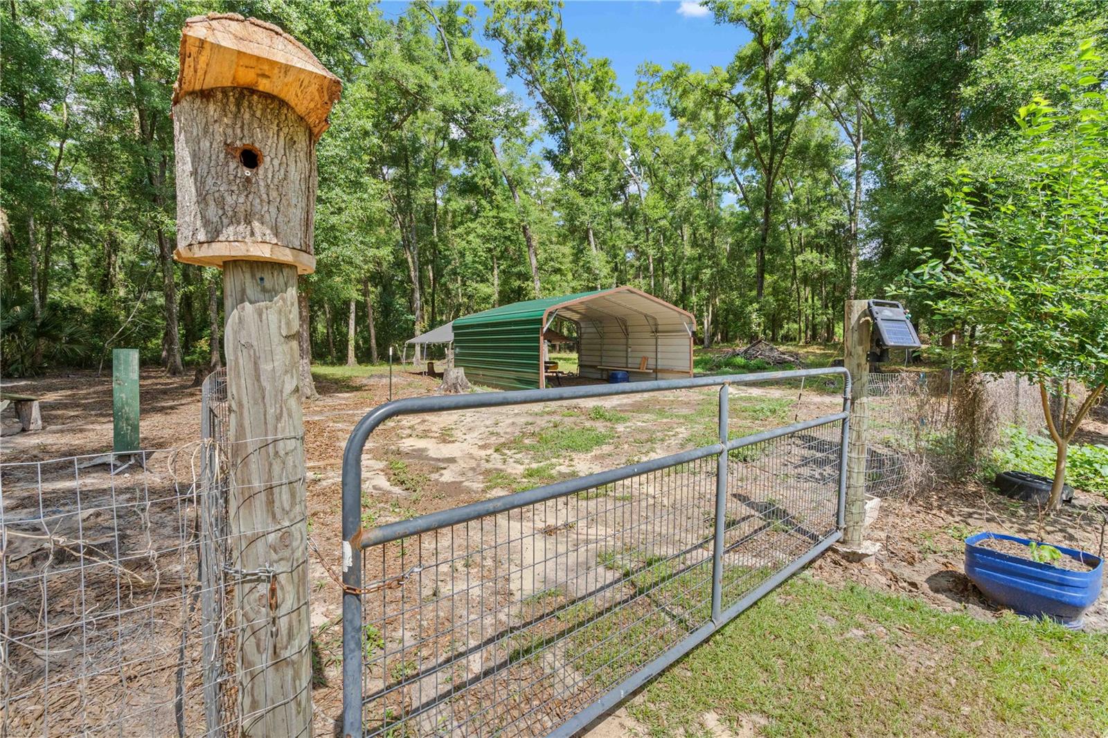 4050 NE 172ND CT, WILLISTON, FL, 32696