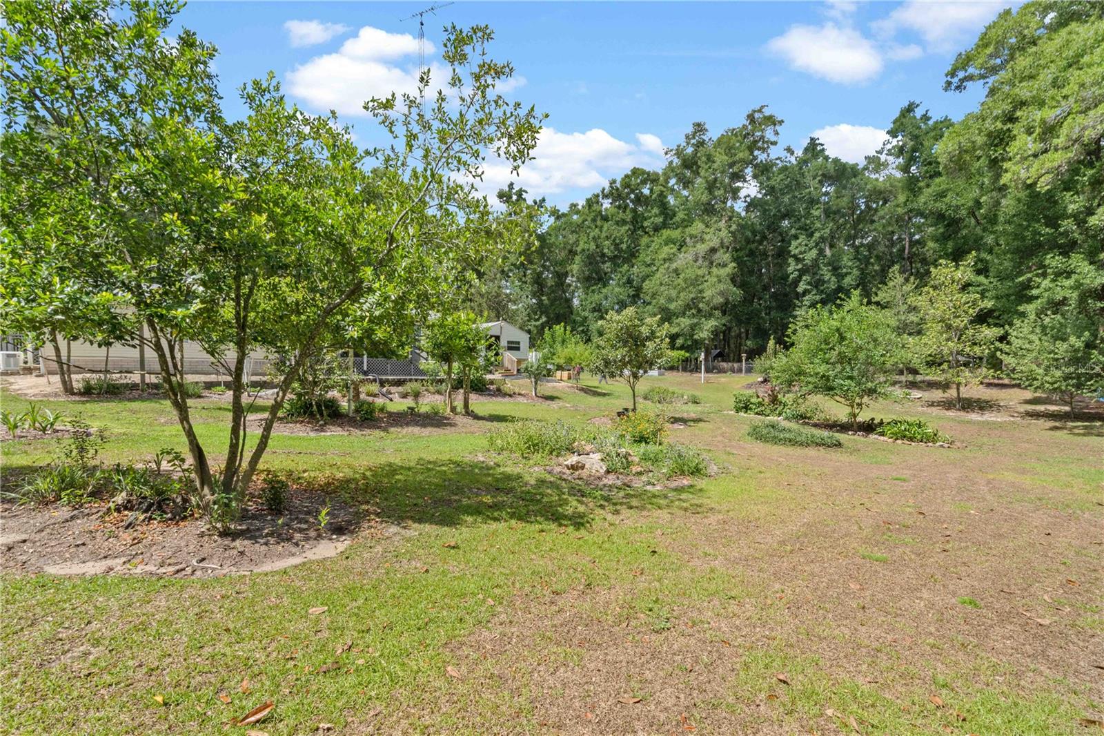 4050 NE 172ND CT, WILLISTON, FL, 32696