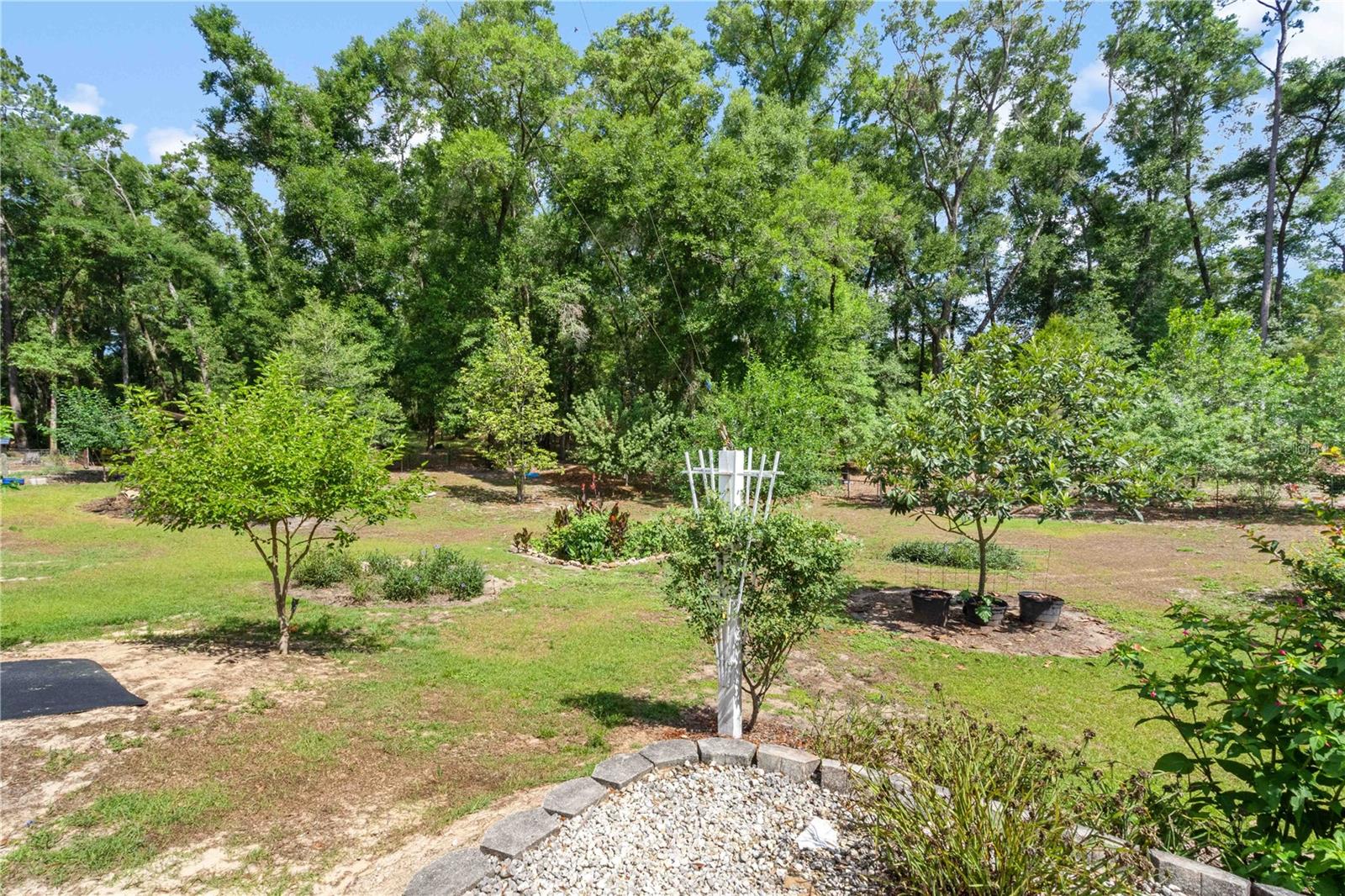 4050 NE 172ND CT, WILLISTON, FL, 32696