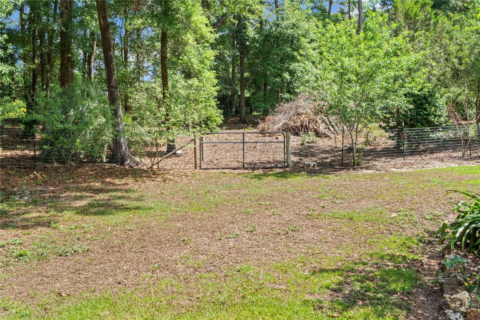 4050 NE 172ND CT, WILLISTON, FL, 32696