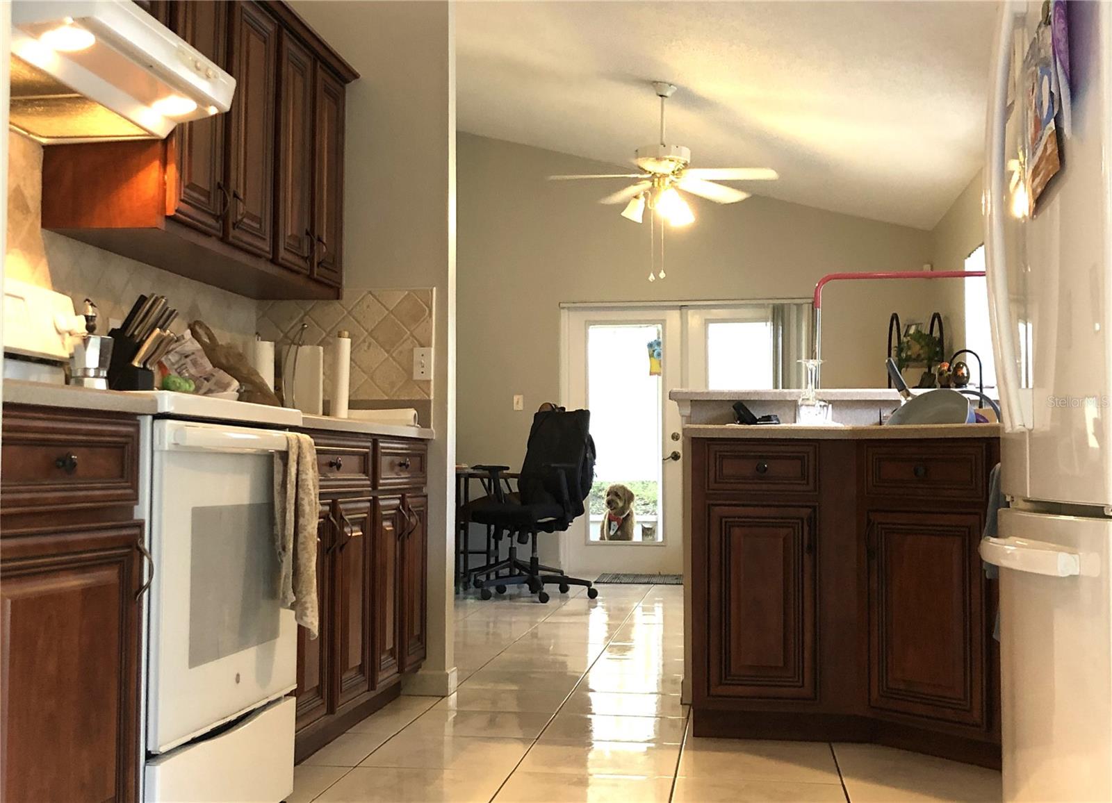 216 SANDHILL CRANE RUN, ORLANDO, FL, 32828