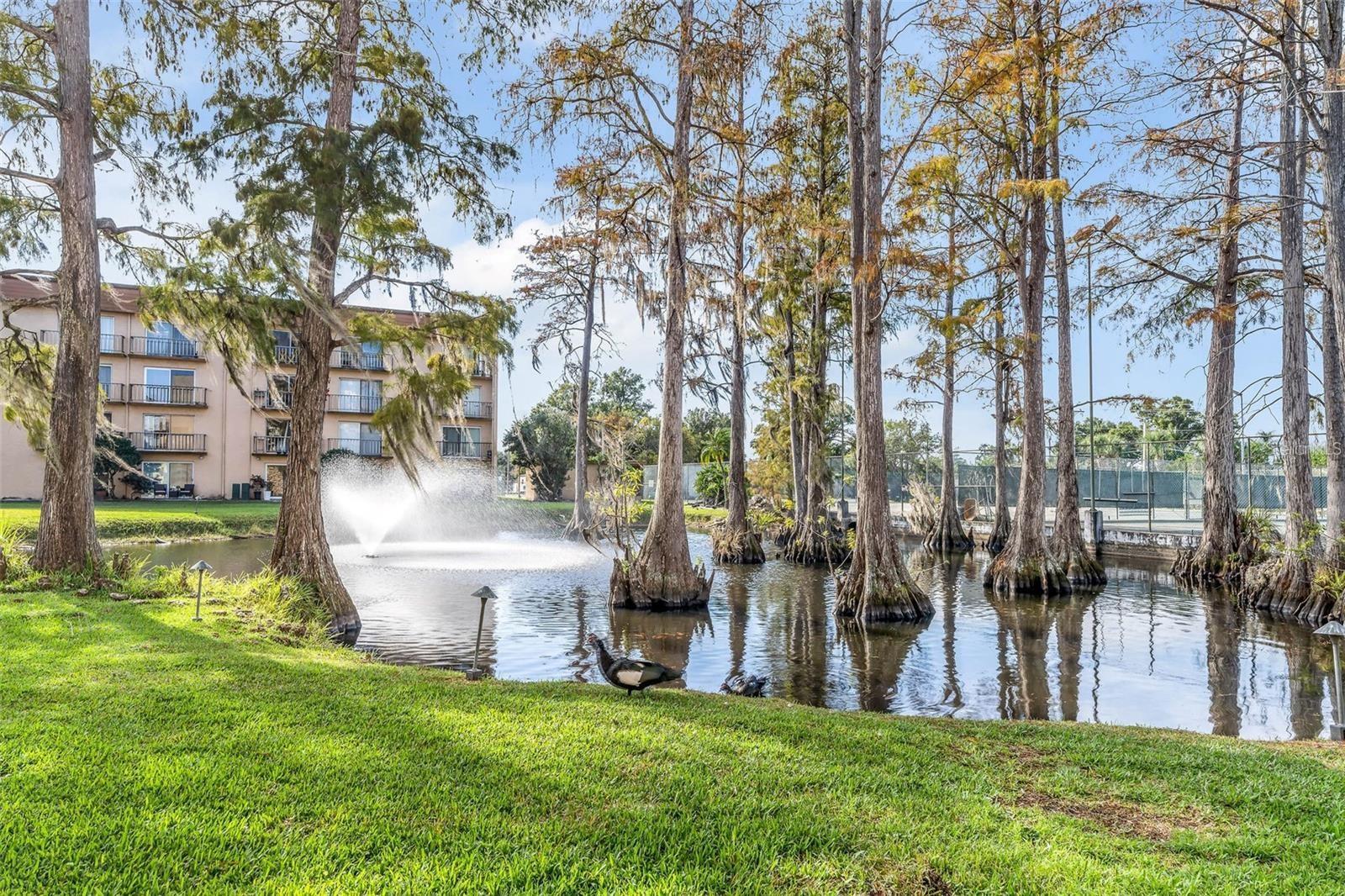 5820 N CHURCH AVE #105, TAMPA, FL, 33614