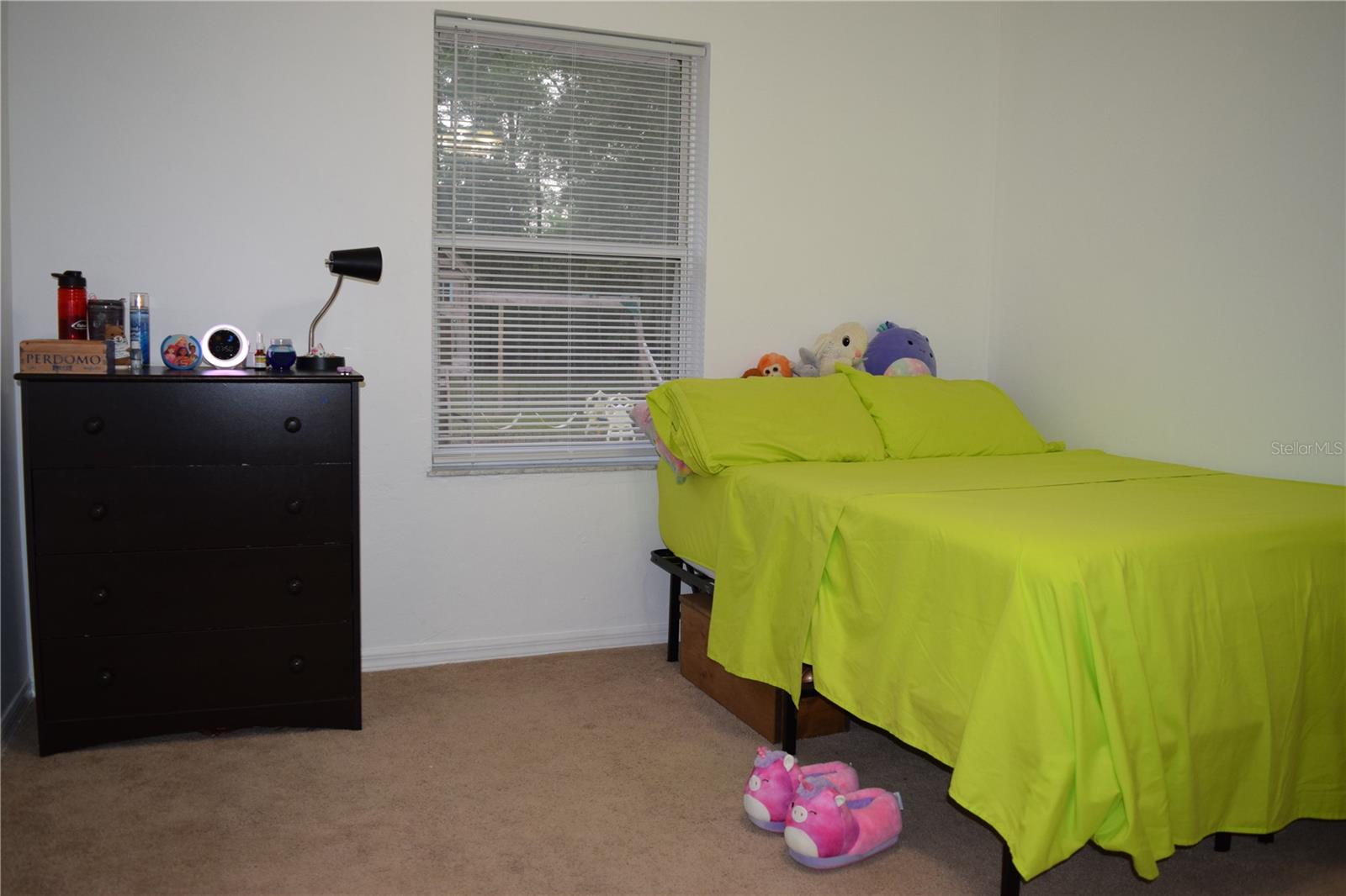 20004 NW 258TH DR, HIGH SPRINGS, FL, 32643