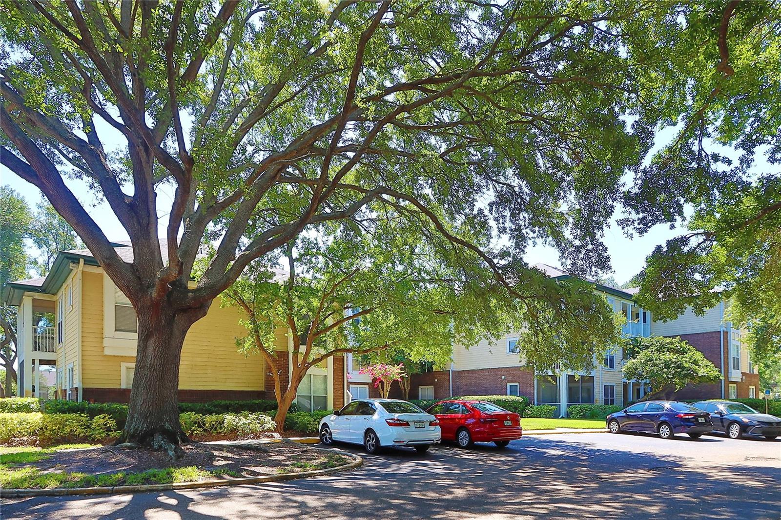 10028 STRAFFORD OAK CT #712, TAMPA, FL, 33624