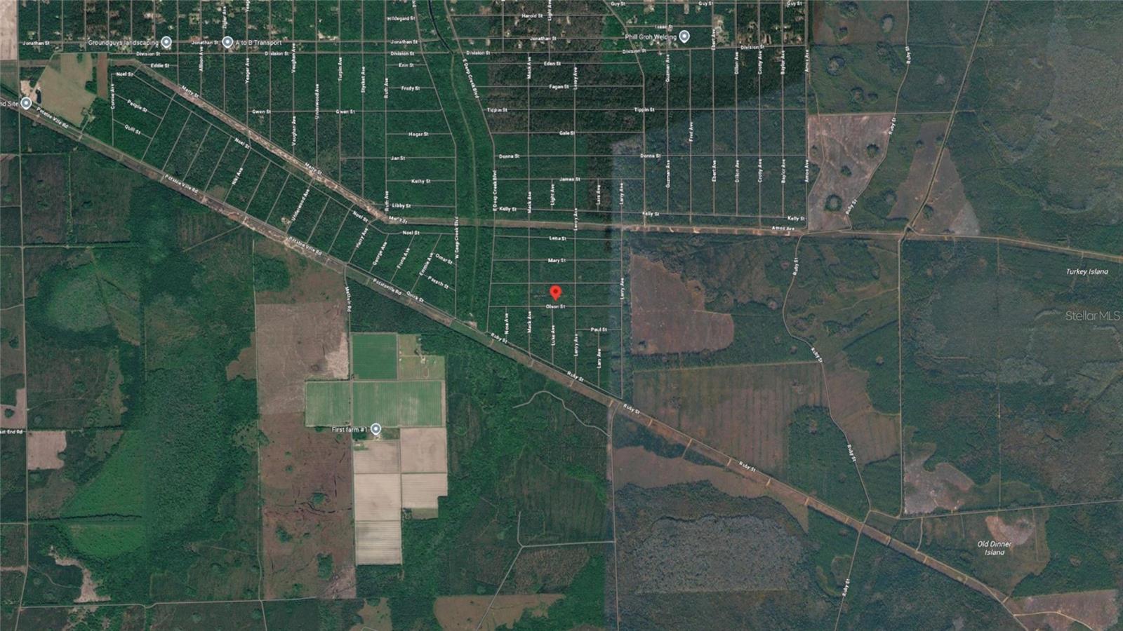 21-10-28-2775-00040-1020 OLSON ST, HASTINGS, FL, 32145