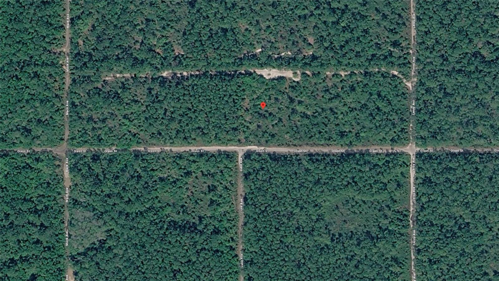 21-10-28-2775-00040-1020 OLSON ST, HASTINGS, FL, 32145
