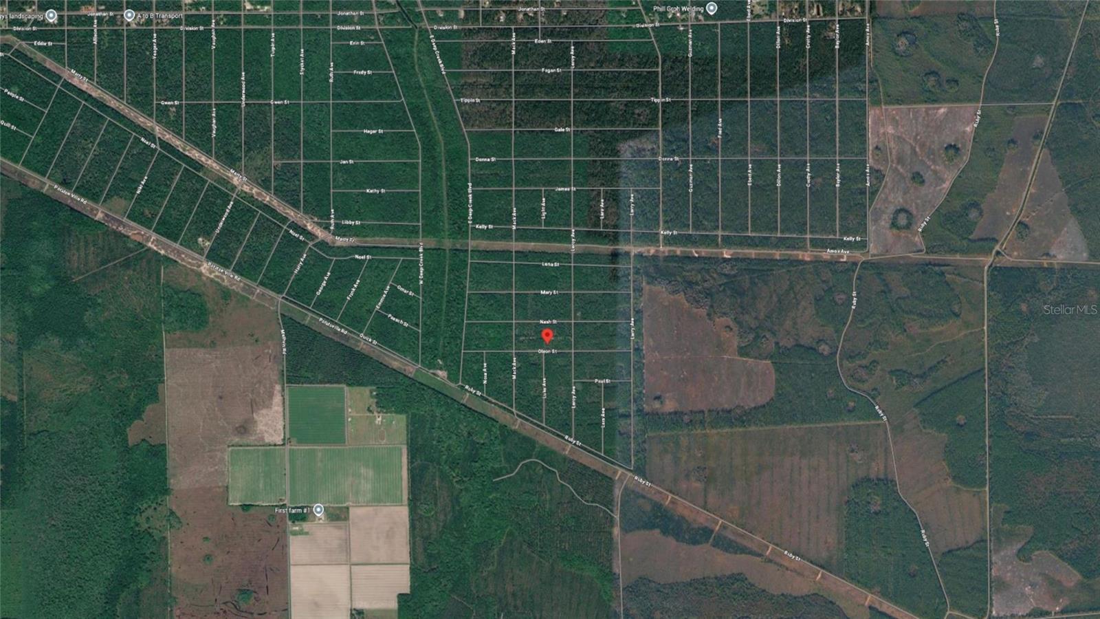 21-10-28-2775-00040-1020 OLSON ST, HASTINGS, FL, 32145