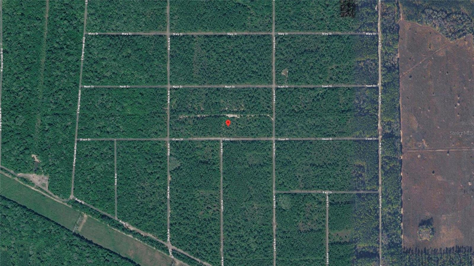 21-10-28-2775-00040-1020 OLSON ST, HASTINGS, FL, 32145