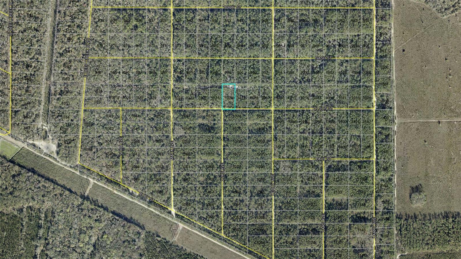 21-10-28-2775-00040-1020 OLSON ST, HASTINGS, FL, 32145