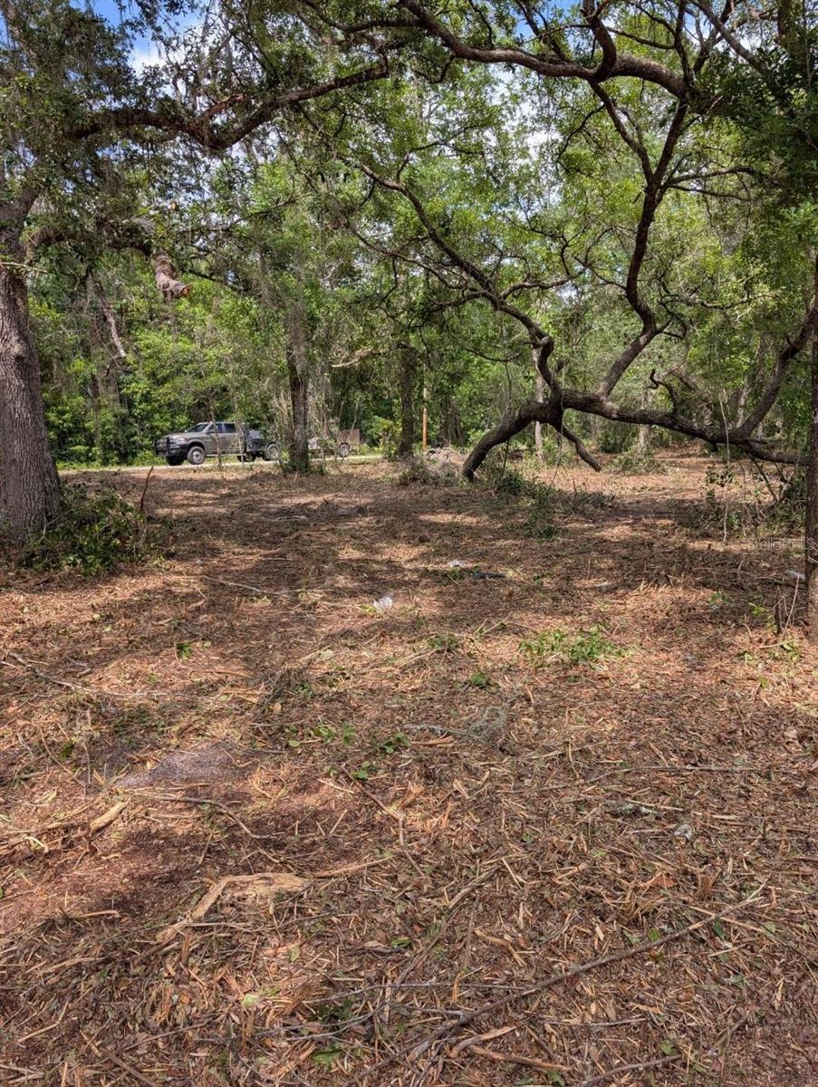 0 NE 220TH ST, FORT MC COY, FL, 32134