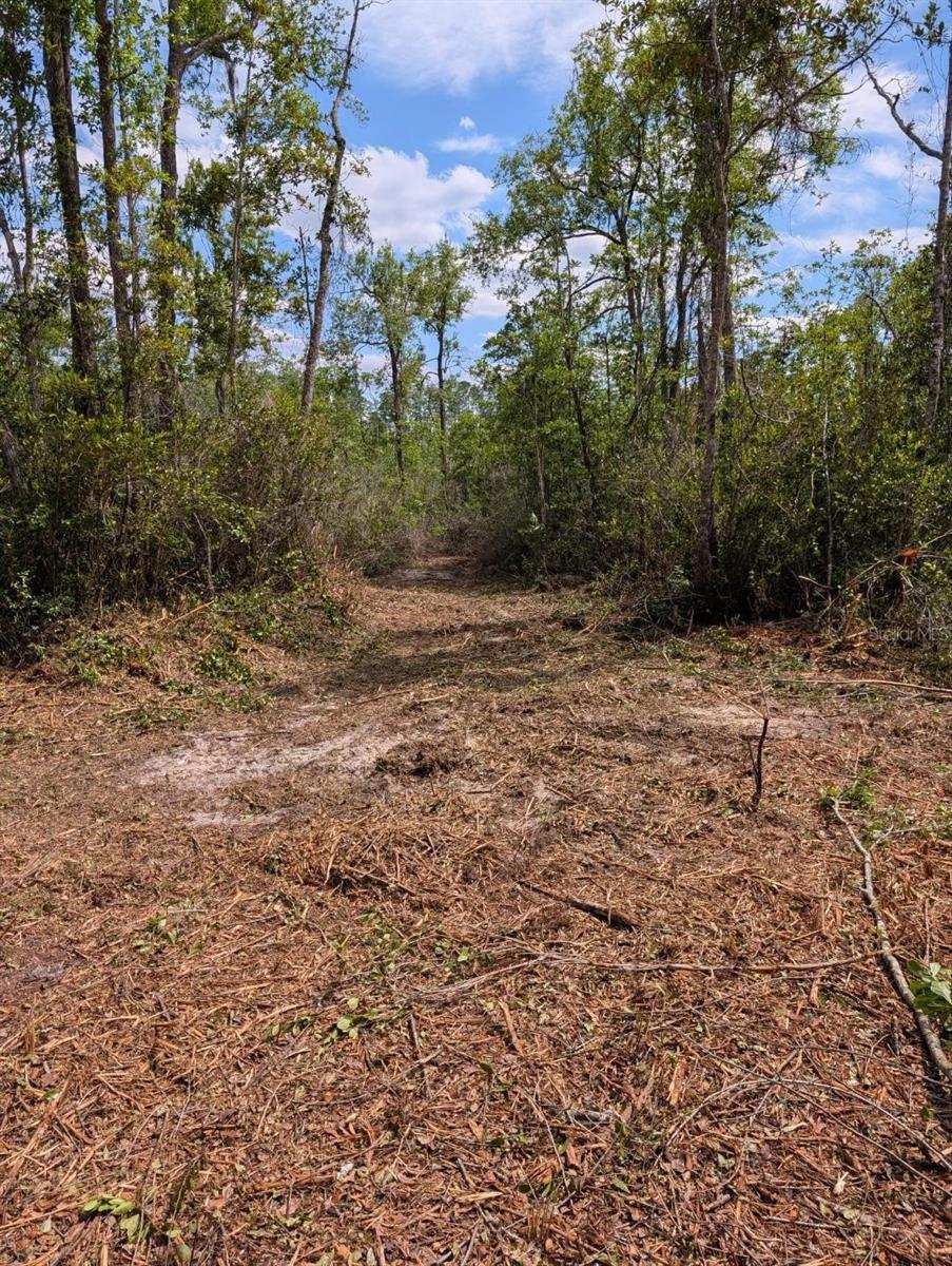 0 NE 220TH ST, FORT MC COY, FL, 32134