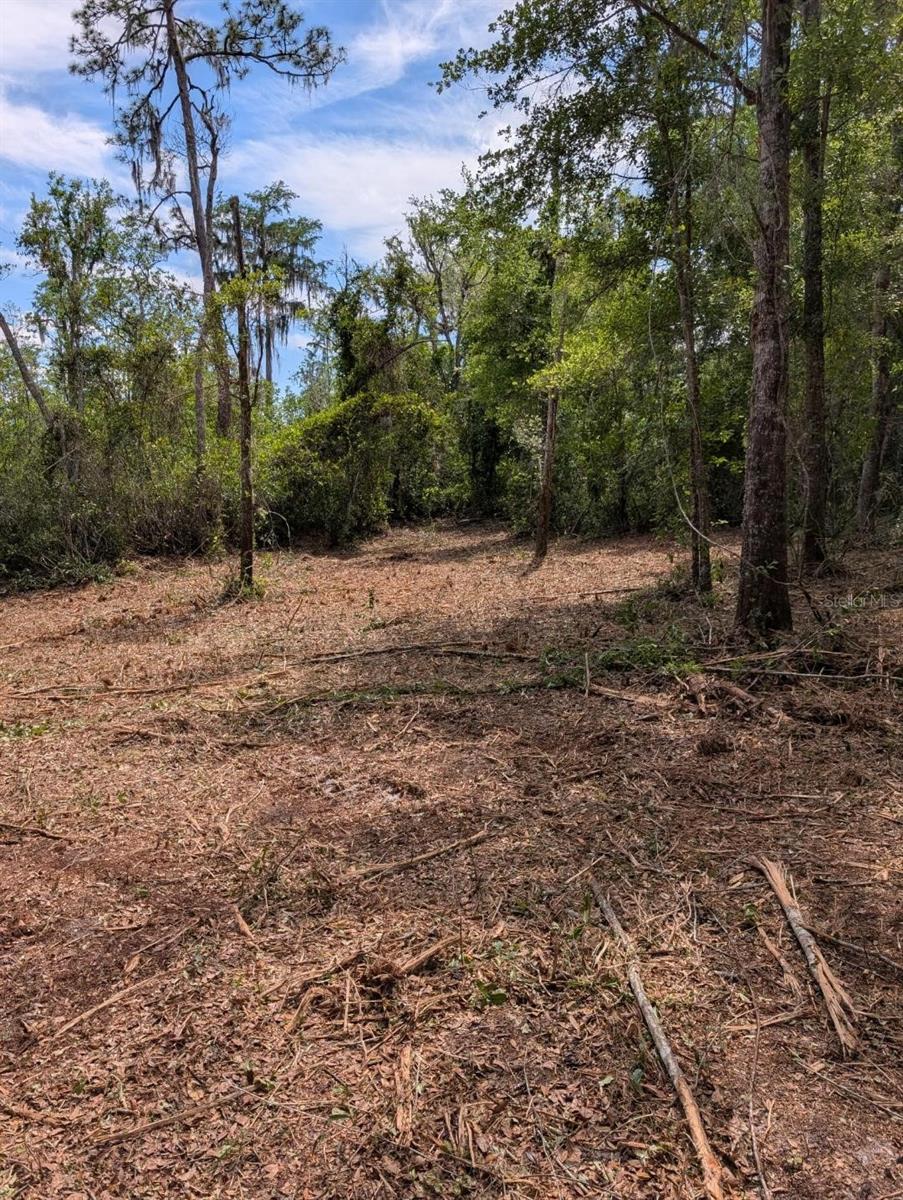 0 NE 220TH ST, FORT MC COY, FL, 32134