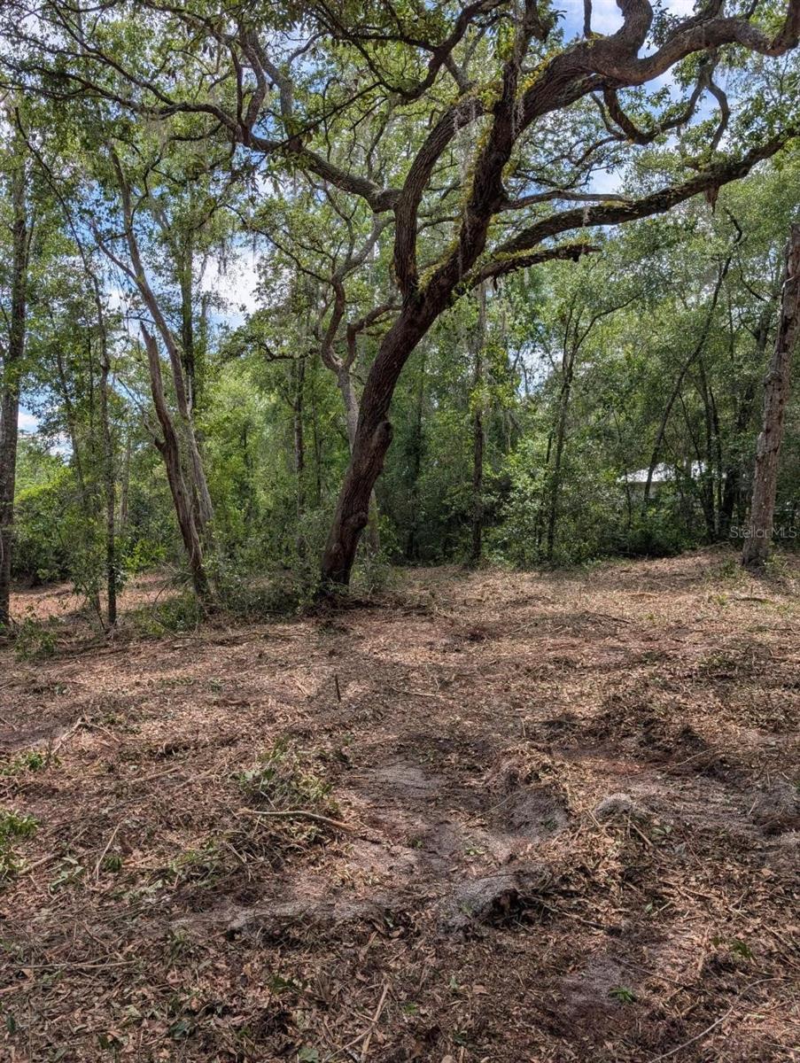 0 NE 220TH ST, FORT MC COY, FL, 32134