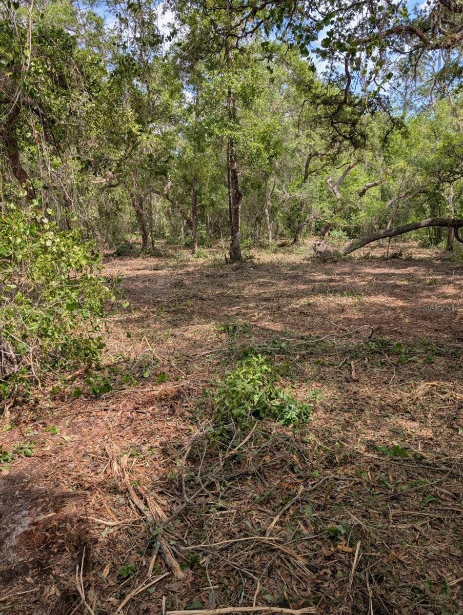 0 NE 220TH ST, FORT MC COY, FL, 32134