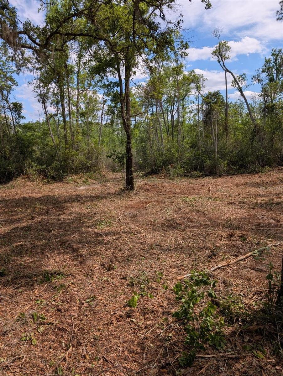0 NE 220TH ST, FORT MC COY, FL, 32134