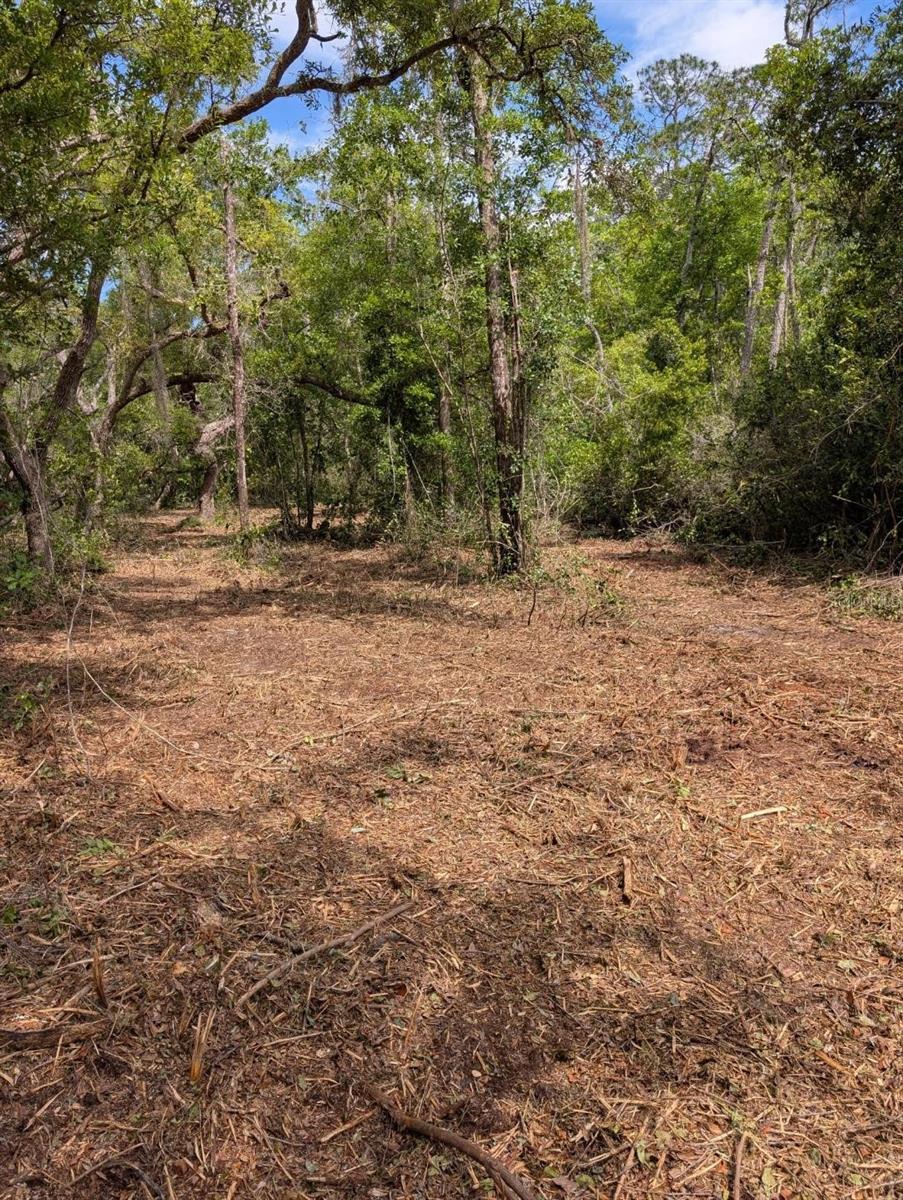 0 NE 220TH ST, FORT MC COY, FL, 32134