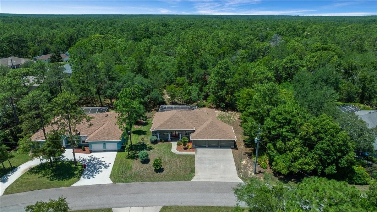5 SAINTPAULIA ST, HOMOSASSA, FL, 34446