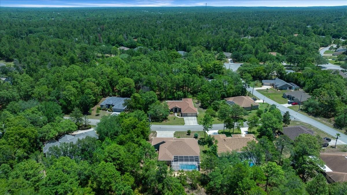5 SAINTPAULIA ST, HOMOSASSA, FL, 34446