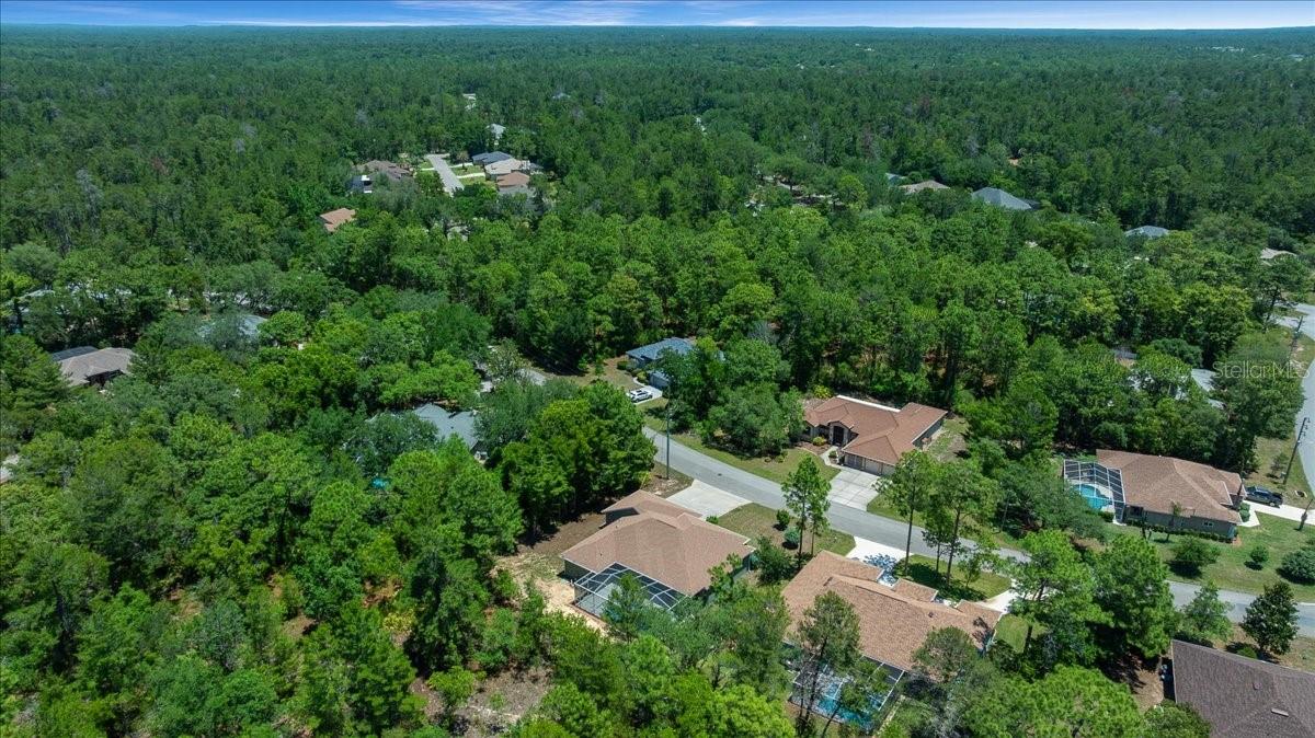 5 SAINTPAULIA ST, HOMOSASSA, FL, 34446