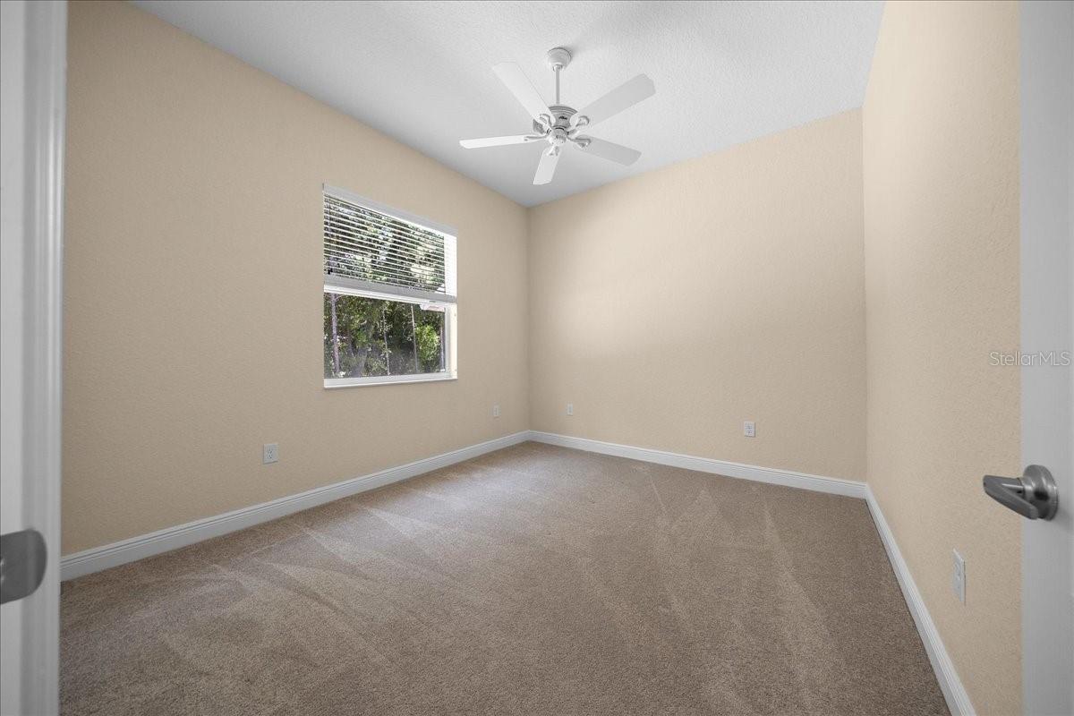 5 SAINTPAULIA ST, HOMOSASSA, FL, 34446