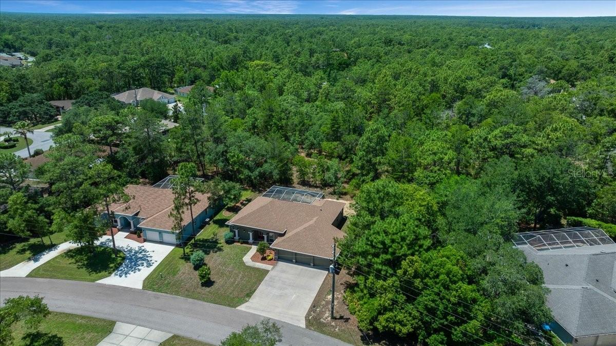 5 SAINTPAULIA ST, HOMOSASSA, FL, 34446