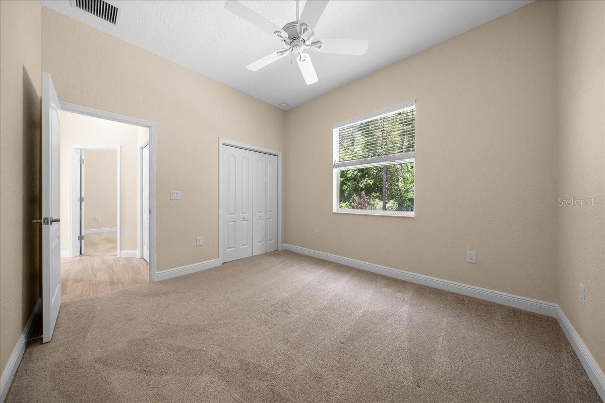 5 SAINTPAULIA ST, HOMOSASSA, FL, 34446