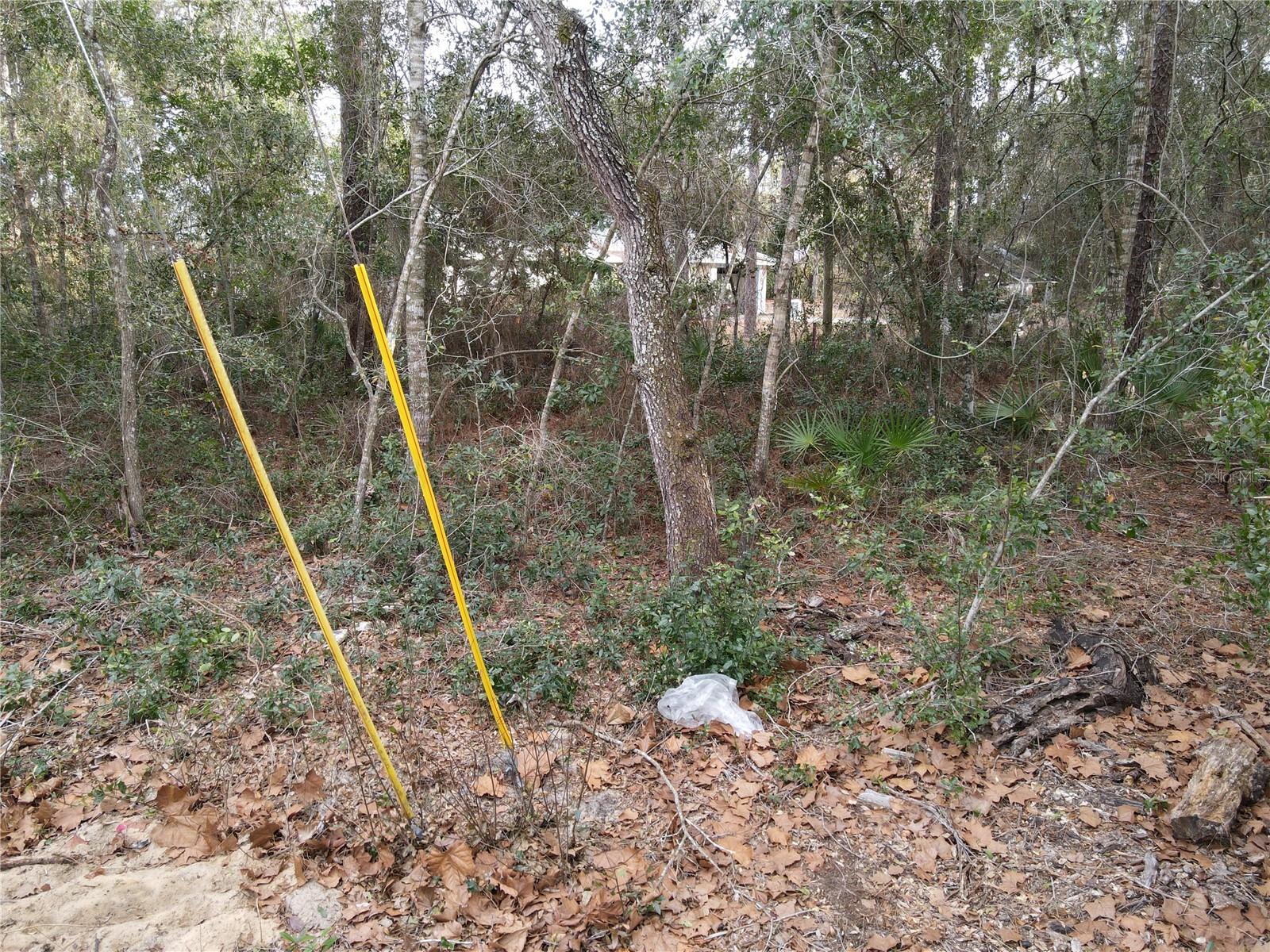 W SEVENTH AVE, UMATILLA, FL, 32784