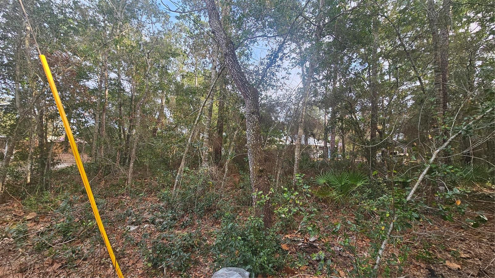 W SEVENTH AVE, UMATILLA, FL, 32784