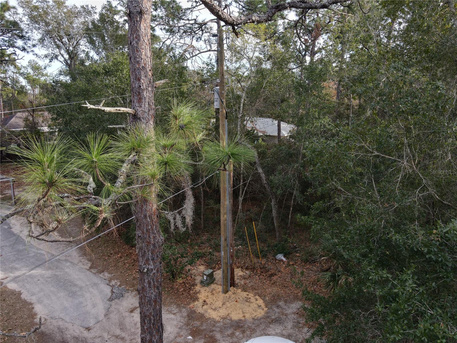 W SEVENTH AVE, UMATILLA, FL, 32784