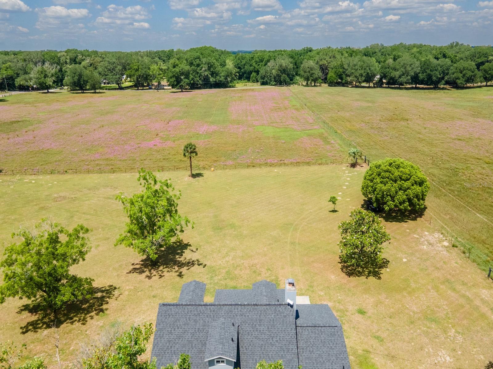 4381 NE 105TH PL, ANTHONY, FL, 32617