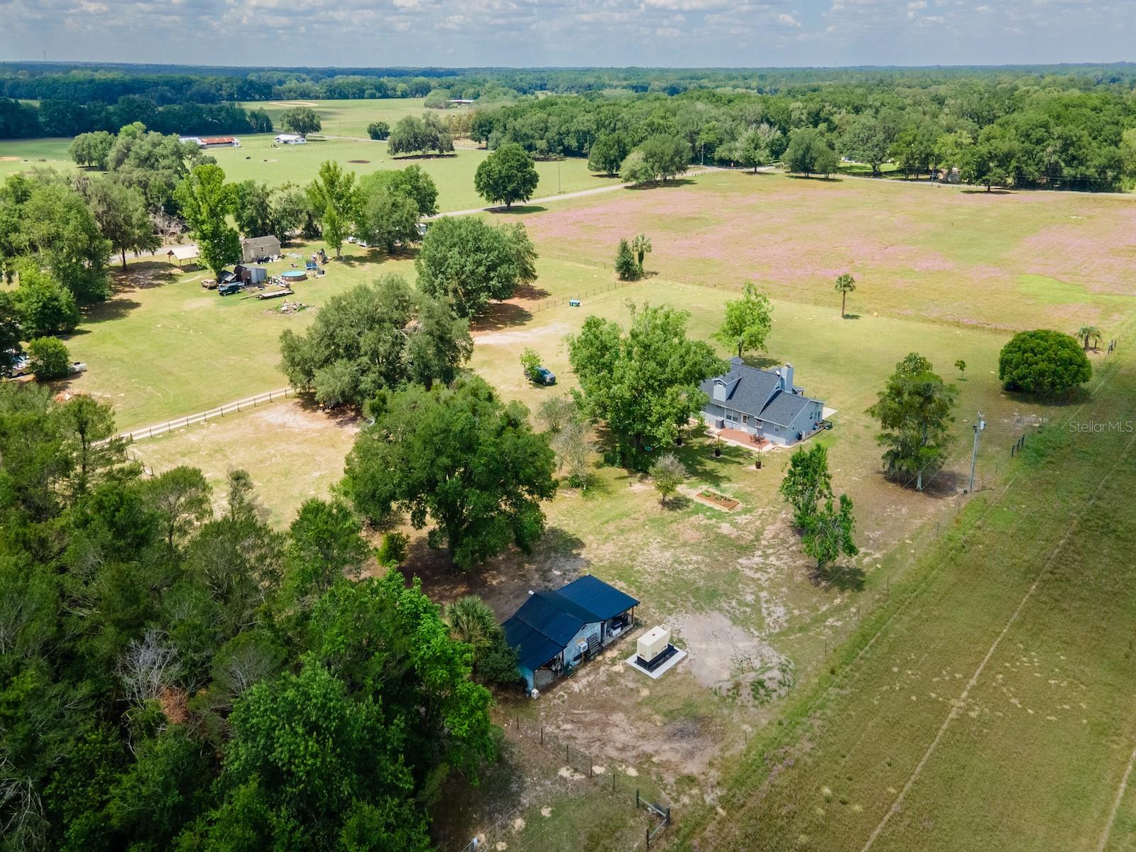 4381 NE 105TH PL, ANTHONY, FL, 32617